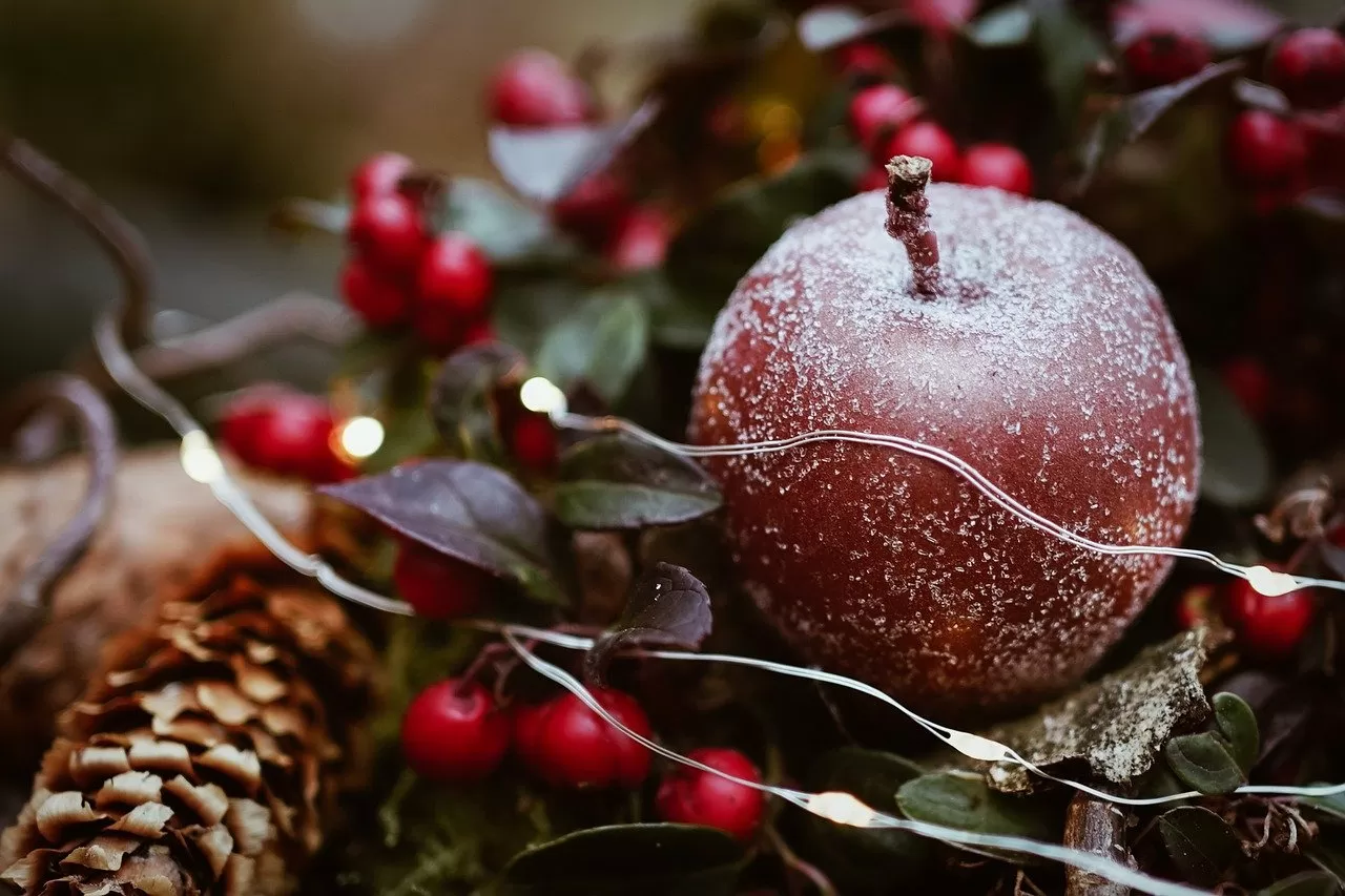 Wishing all our readers a very Happy Christmas and a prosperous New Year