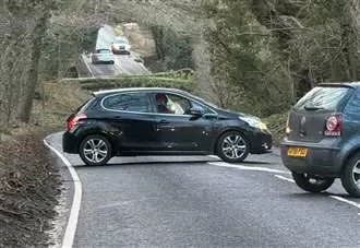 Busy A-road blocked by fallen tree