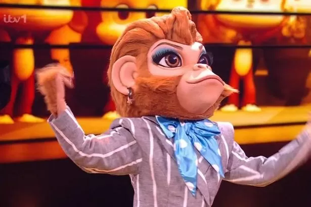The Masked Singer star Monkey Business' identity 'exposed' minutes in