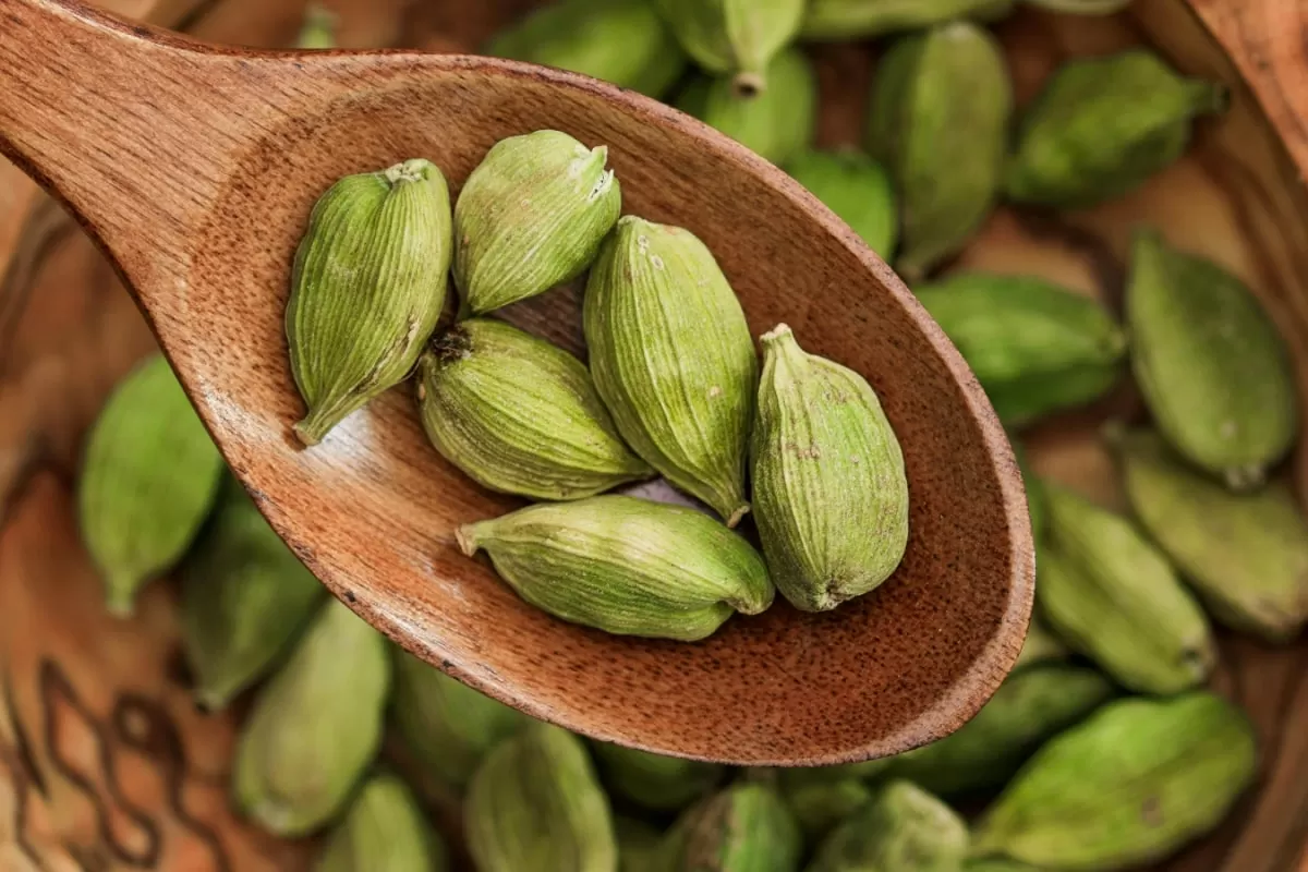 GK: Which City Is Known As The Cardamom City Of India?