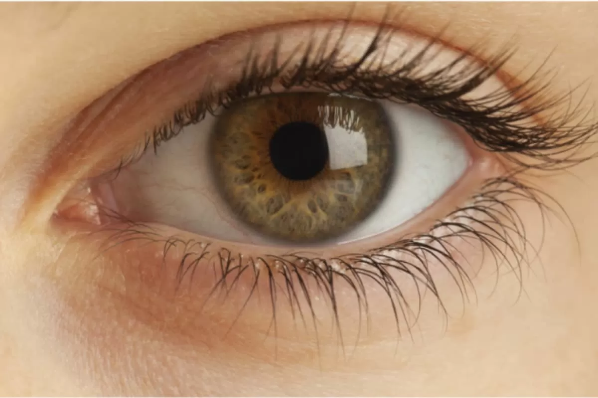 'Eye-Opener' For Mental Health: Understanding EMDR Therapy And The 8 Phases Of Trauma Healing