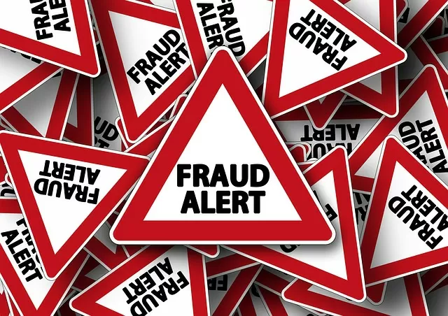 Agency boss sentenced for large-scale financial fraud